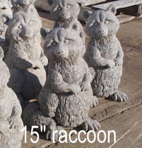 15 inch raccoon