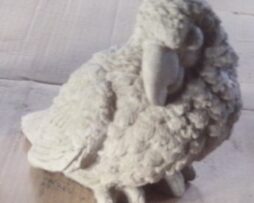 Parrot (Small)
