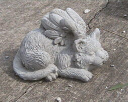 Angel Cat