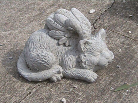 Angel Cat