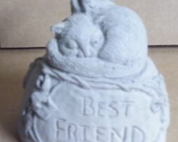 Cat - Best Friend