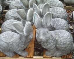 Rabbit - Big Eared