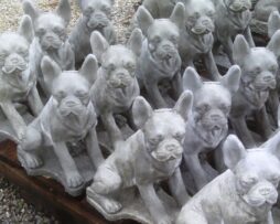Dog - Boston Terrier (Small)