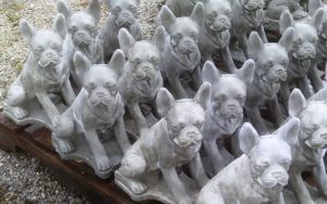 boston terriers 16 inch