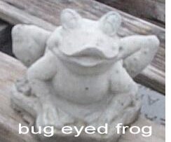 Frog-Bug Eyed