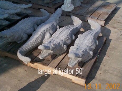 Alligator (Large)