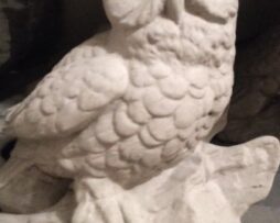 Owl - Tiny