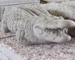 Alligator (Small)