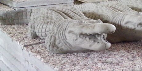 Alligator (Small)