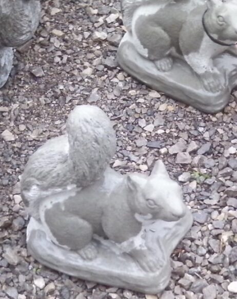 Squirrel - On All Fours