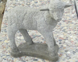 Lamb