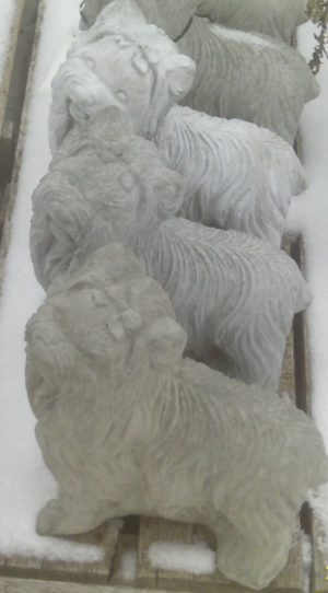 YORKIE BOW IN HAIR 12 INH