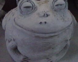 Frog - Bug On Nose