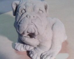 Bulldog (Medium)