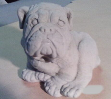 Bulldog (Medium)