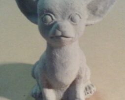 Dog - Chihuahua