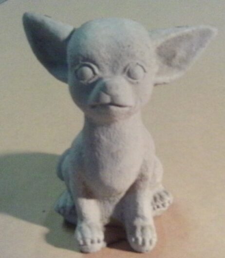Dog - Chihuahua