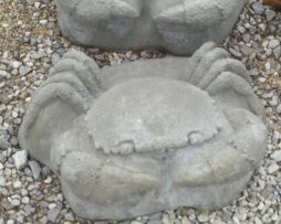 Crab