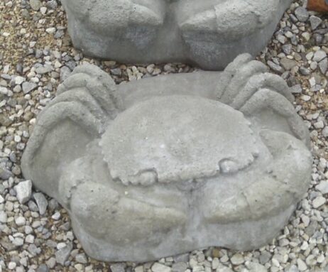 Crab