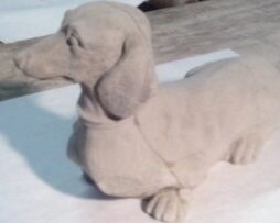 Dog - Dachshund