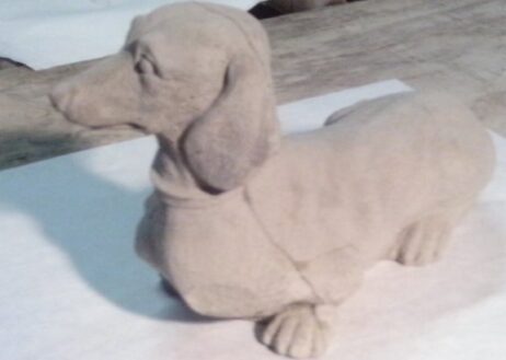 Dog - Dachshund