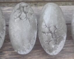 Dinosaur Egg