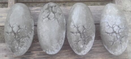 Dinosaur Egg