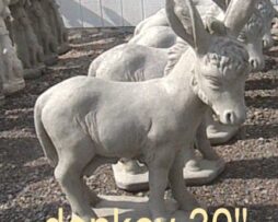 Donkey