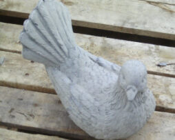 Dove