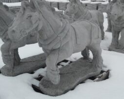 Horse - Draft