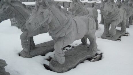 Horse - Draft