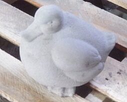 Duckling - Fat