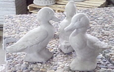 Duck - Baby #2