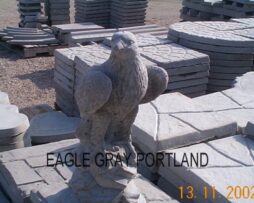 Eagle - Wings Folded