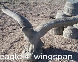 Eagle - Wing Spread
