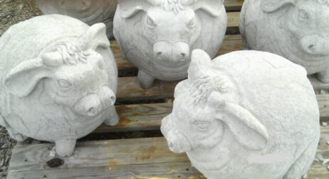 Bull (Fat)