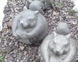 Squirrel - (Fat)