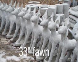 Fawn