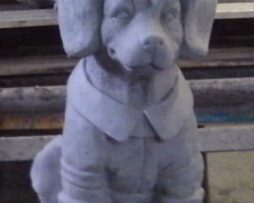 Dog - Fireman