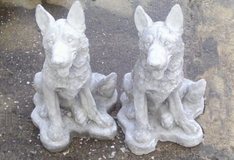 Dog - German Shepard Pup