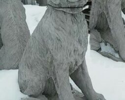 Dog - Golden Retriever