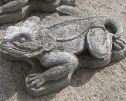 Lizard - Horned