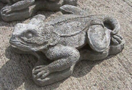 Lizard - Horned