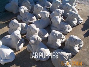 lab puppy