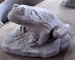 Frog - 11 Inch