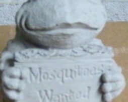 Frog - Mosquito Wanted