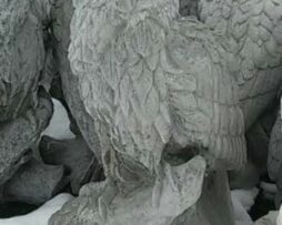 Owl - 2 Foot