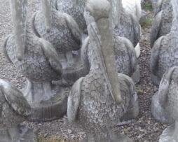 Pelican - Lifesize