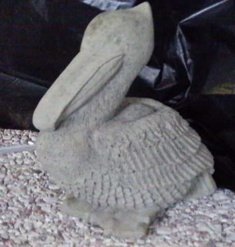 Pelican (Small)