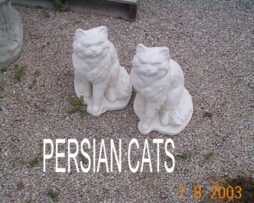Persian Cat